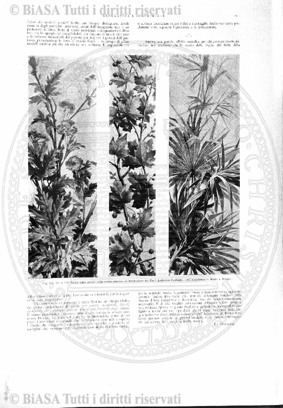 n.s., n. 70 (1854-1855) - Pagina: 153