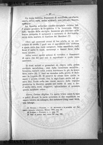 v. 14, n. 11 (1787-1788) - Pagina: 81