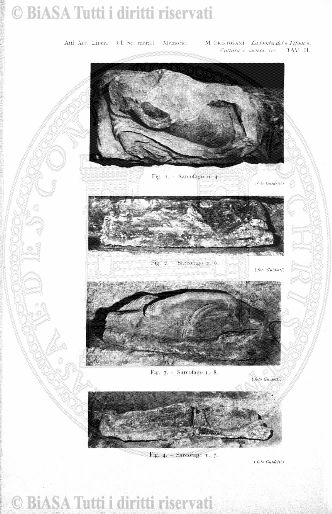 v. 1, n. 17 (1774-1775) - Pagina: 129