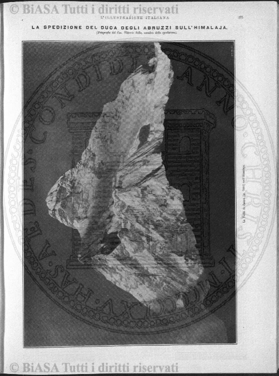 n. 41 (1886) - Frontespizio