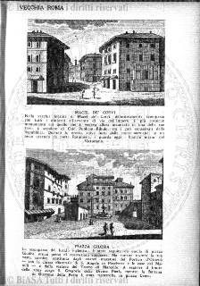 n. 6 (1933) - Pagina: 117