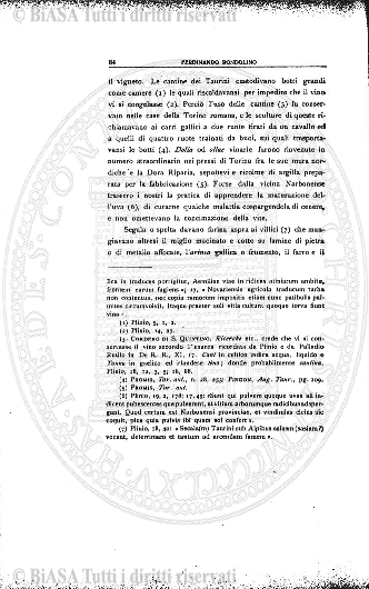 n. 7 (1907-1908) - Pagina: 29