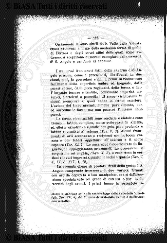 n. 5 (1904) - Copertina: 1