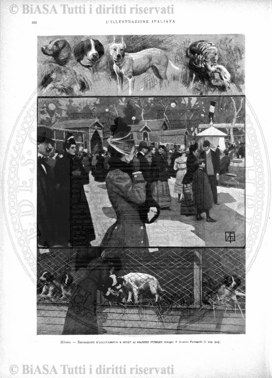 v. 13, n. 41 (1786-1787) - Pagina: 321