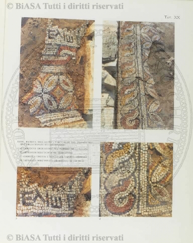 s. 3, n. 8 (1894) - Pagina: 113