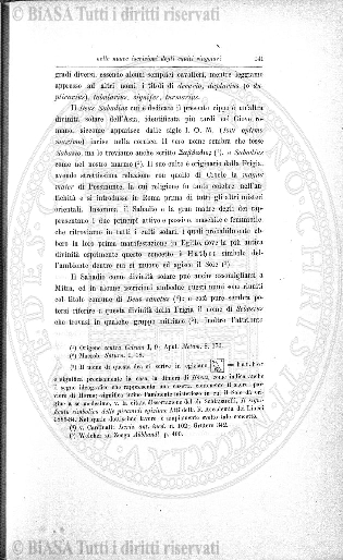 n. 10 (1884) - Pagina: 19