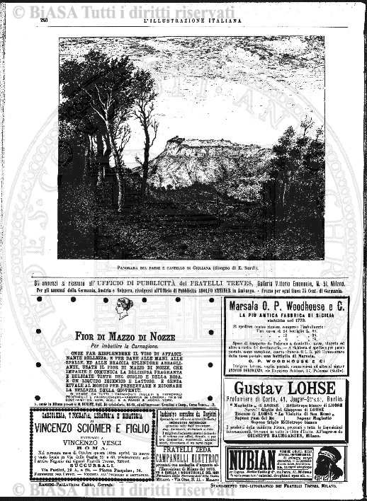 v. 2, n. 13 (1837-1838) - Pagina: 101