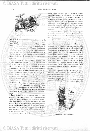 v. 8, n. 40 (1781-1782) - Pagina: 313