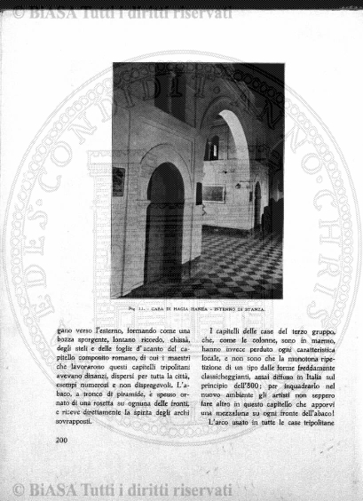 n. 7 (1933) - Pagina: 141