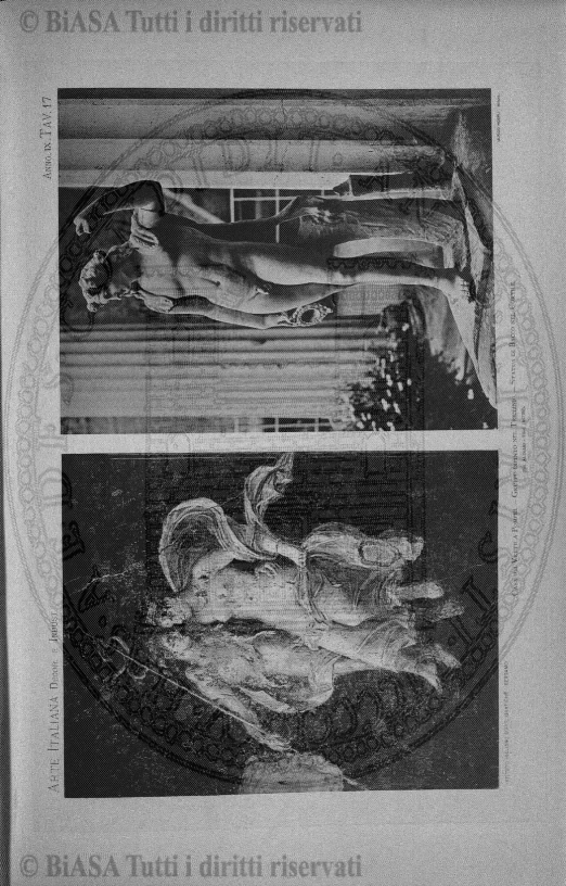 n. 3 (1929) - Pagina: 29