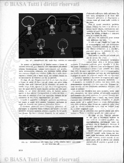 v. 22, n. 46 (1795-1796) - Pagina: 361