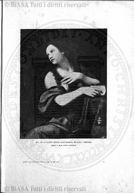 s. 2, n. 36 (1892-1893) - Pagina: 833