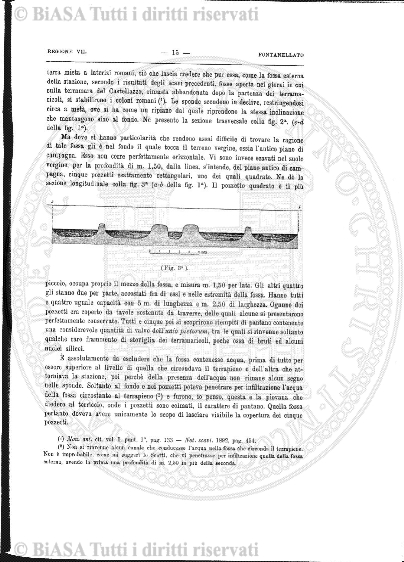 v. 3, n. 7 (1836-1837) - Pagina: 49