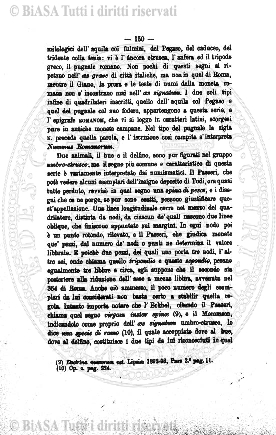 n. 33 (1892) - Frontespizio