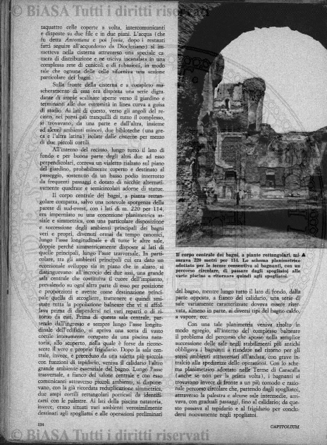 v. 7, n. 7 (1780-1781) - Pagina: 49