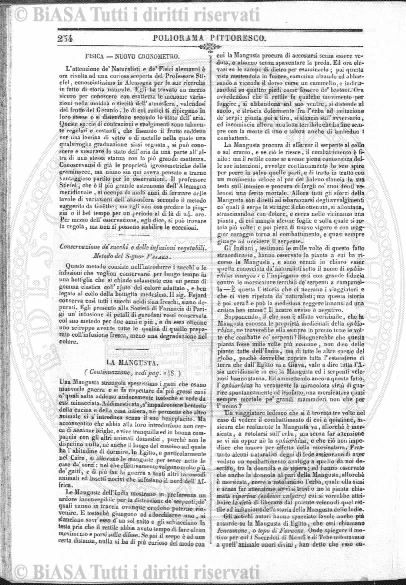 n. 18 (1890-1891) - Pagina: IX