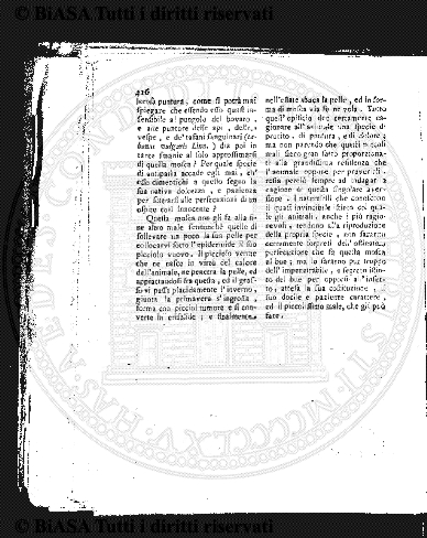 v. 4 (1883) - Frontespizio