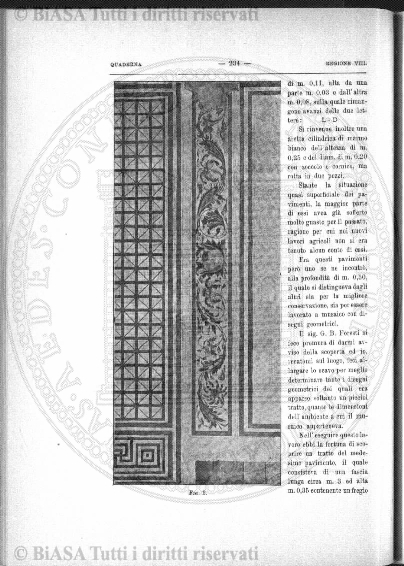 n. 11 (1902) - Pagina: 85