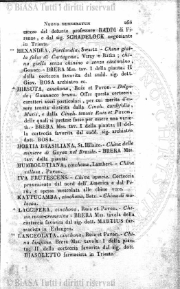 n. 14 (1893) - Frontespizio