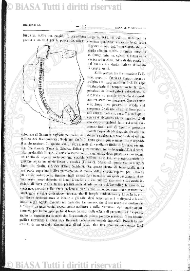 n. 13 (1883) - Frontespizio
