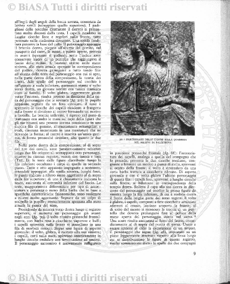 v. 1, n. 50 (1774-1775) - Pagina: 393