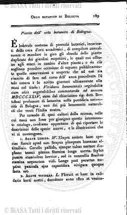 v. 3, n. 10 (1776-1777) - Pagina: 73