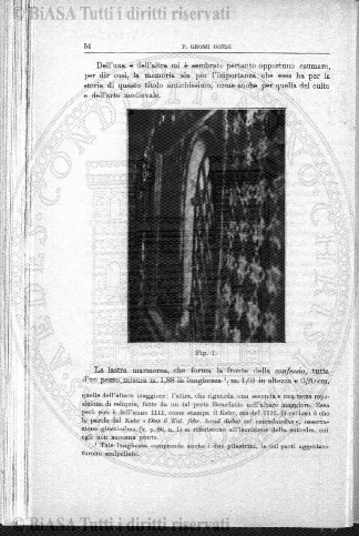 v. 14, n. 31 (1847-1848) - Pagina: 245