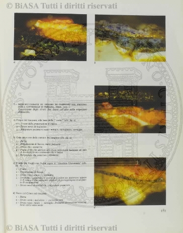 v. 19, n. 7 (1792-1793) - Pagina: 49
