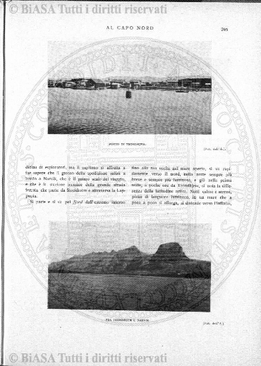 n. 11-12 (1870) - Pagina: 193