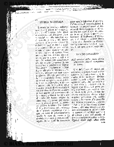 v. 4, n. 1 (1875) - Frontespizio