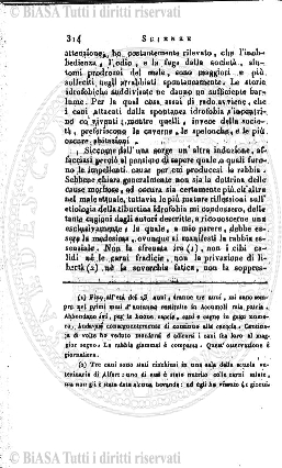 v. 51, n. 302 (1920) - Copertina: 1