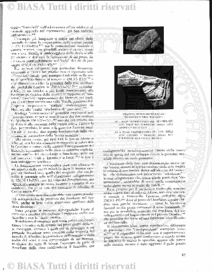 s. 2, v. 6, n. 7-8-9 (1890) - Pagina: 85