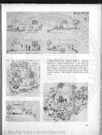 s. 3, v. 8, n. 7-9 (1902) - Pagina: 147