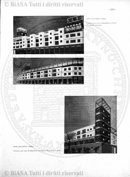 n. 7 (1835) - Pagina: 25
