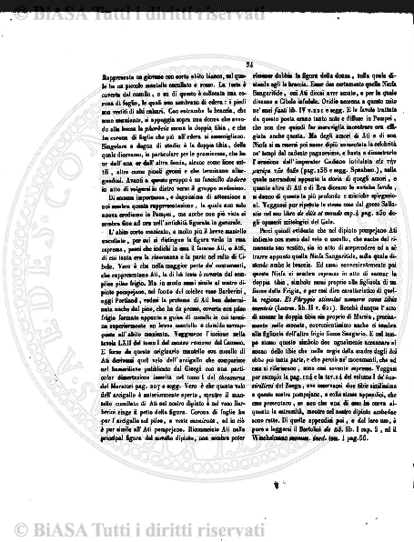 n. 7 (1910) - Copertina: 1