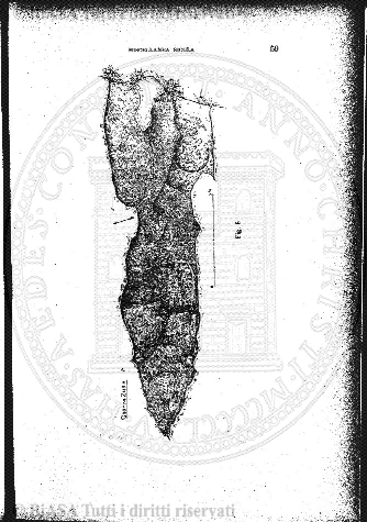 v. 12, n. 37 (1845-1846) - Pagina: 289