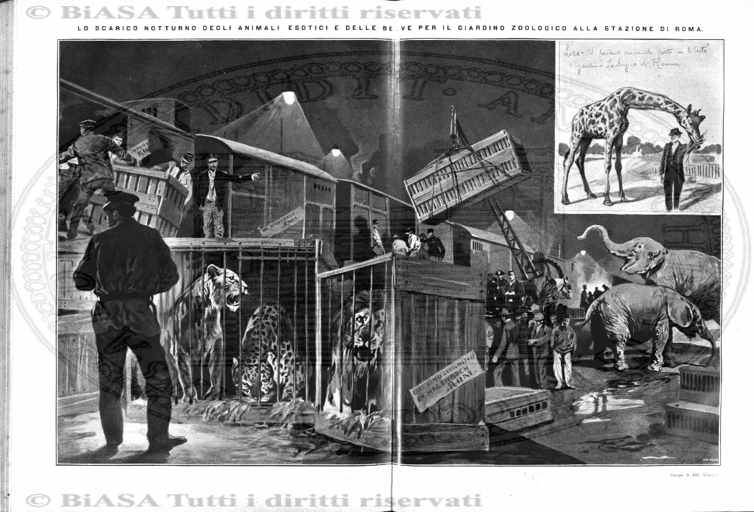 n. 49 (1879-1880) - Pagina: 385
