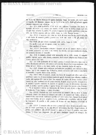 v. 4, n. 23 (1909) - Tavola fuori testo