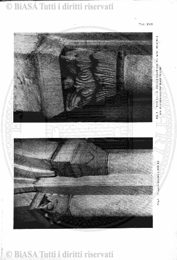 n. 30 (1873-1874) - Sommario: p. 25