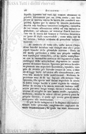v. 2, n. 13 (1775-1776) - Pagina: 97