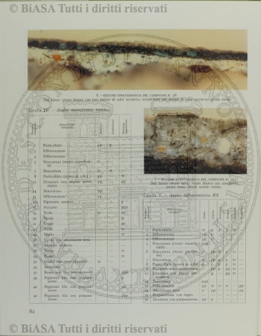 v. 21, n. 46 (1854-1855) - Pagina: 361