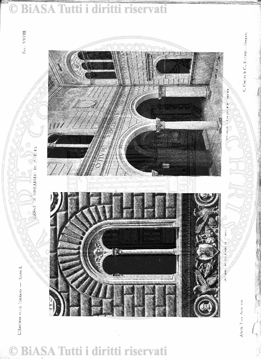 v. 3, n. 39 (1776-1777) - Pagina: 305