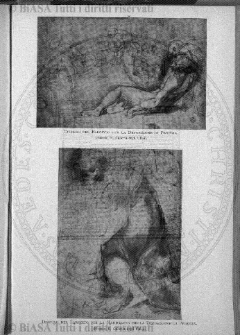 n. 46 (1890) - Frontespizio