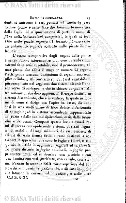 n. 39 (1784) - Pagina: 305