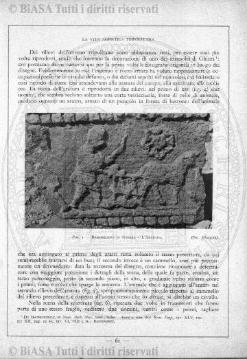 n. 3 (1846) - Pagina: 17