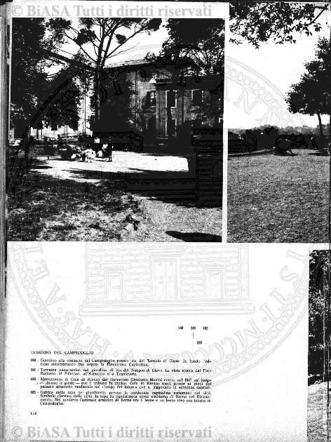 s. 3, v. 1, n. 12 (1882) - Sommario: p. 177