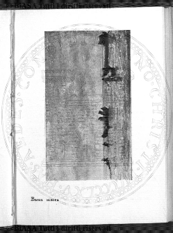 n. 12 (1907) - Copertina: 1 e sommario