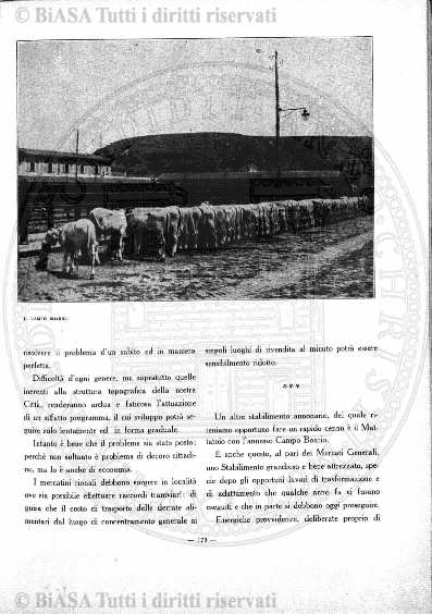 v. 27, n. 15 (1860-1861) - Pagina: 113