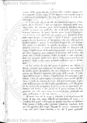 v. 1, n. 4 (1872) - Pagina: 97