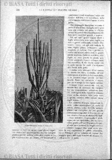 n. 5 (1908) - Pagina: 163